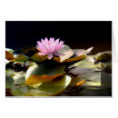 Buscar waterlily fotografía Rosa