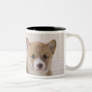 Buscar sentada del bebé tazas Animal