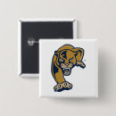 Buscar university chapas Fiu
