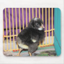 Buscar confuso alfombrillas de raton Fotografía