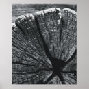 Buscar modelo de madera fotografía Al aire libre