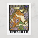 Buscar lillies postales Floral