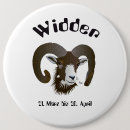 Buscar elementos chapas Para niños