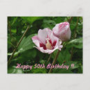 Buscar geburtstag postales Rosa