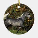 Buscar árabes adornos Sacudida langrish