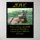 Buscar love posters Amar