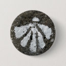 Buscar camino de santiago chapas Peregrino