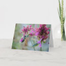 Buscar arreglos tarjetas Naturaleza