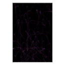 Buscar cósmico arte Digital