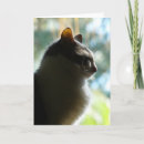 Buscar coco tarjetas Para todos