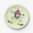 Buscar anatomía papel platos Para todos