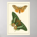 Buscar visión posters Naturaleza