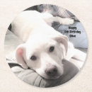 Buscar sofá posavasos Cachorro