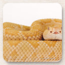 Buscar diamondback Escalas