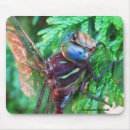 Buscar libélulas alfombrillas de raton Para todos