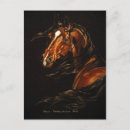 Buscar caballo árabe postales Animales