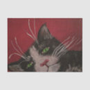 Buscar gato blanco y negro papel de seda Felino