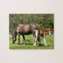 Buscar yeguas puzzles Yegua y potro