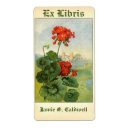 Buscar geranios postales Jardinero