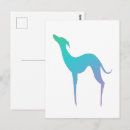 Buscar perro blanco postales Elegante