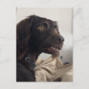 Buscar confundida postales Para todos