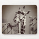 Buscar giraffe alfombrillas de raton Zoológico