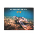 Buscar tortuga arte Reptil