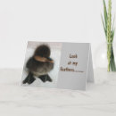 Buscar patito tarjetas General y unisex