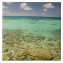 Buscar bici azulejos Cielo