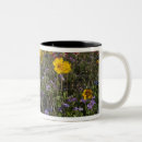 Buscar larry tazas Coreopsis