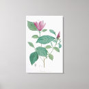 Buscar redoute lienzos Joseph