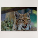 Buscar lince puzzles Naturaleza