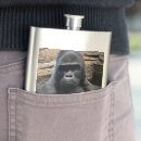 Buscar primates petacas Simio