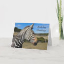 Buscar zebra tarjetas Blanco y negro