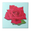 Buscar rose azulejos Rosa rojo