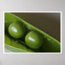 Buscar vaina de guisante posters Guisantes