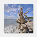Buscar driftwood imanes Arena