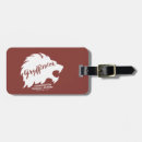 Buscar gryffindor accesorios Brujería