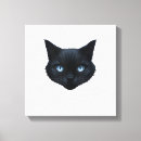Buscar ojos azules lienzos Gatos