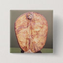 Buscar tambores chapas Instrumento