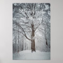 Buscar ramas de árbol posters Para todos