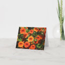 Buscar flor anaranjada tarjetas General y unisex