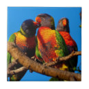 Buscar personalice azulejos Arco iris