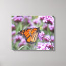 Buscar mariposas hermosas lienzos Flores