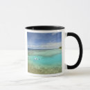 Buscar male tazas Tropical