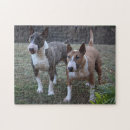 Buscar perro de bull terrier puzzles Animal