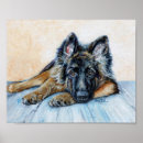 Buscar perro policía posters Perros