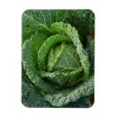 Buscar agricultura imanes Jardinería
