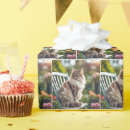 Buscar silla papel de regalo General y unisex