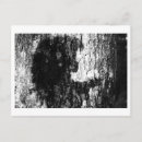 Buscar a veces fotografía Blanco y negro